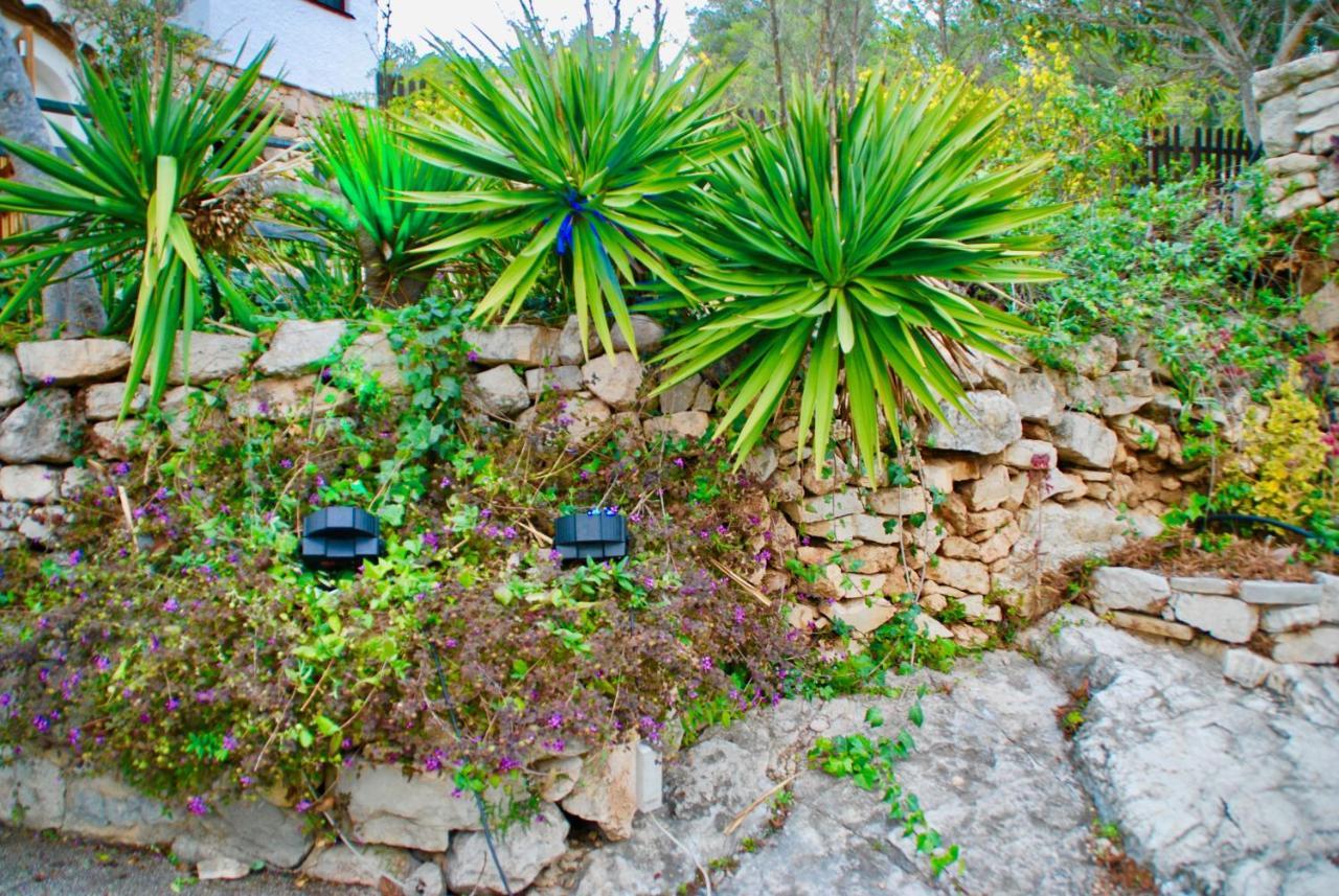 Mas Rosich Bed and Breakfast Alcover Exteriör bild